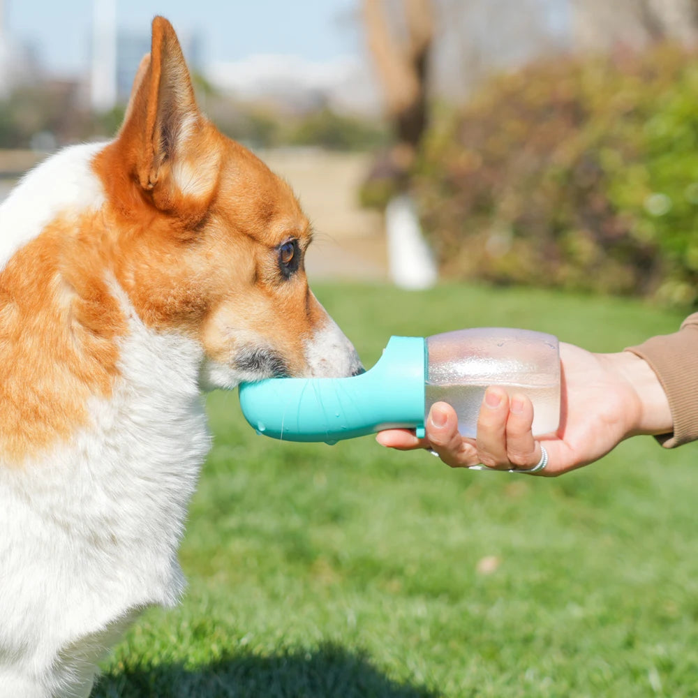 Bouteille d'eau pour chien de compagnie, 300ML