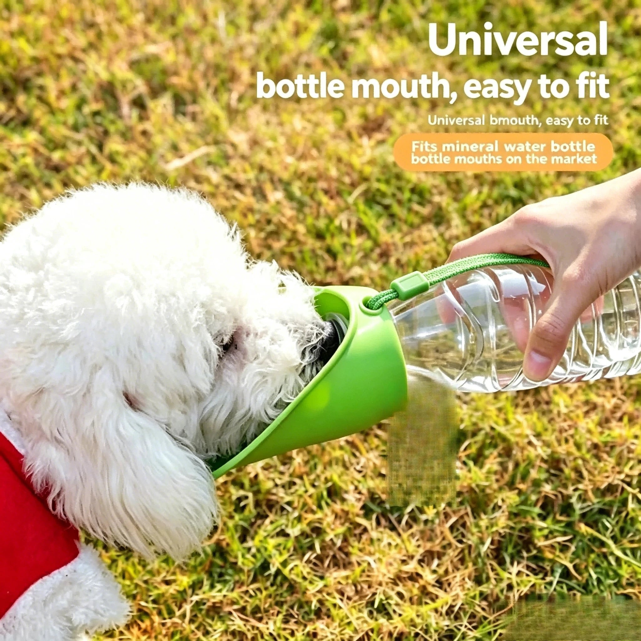 Bouteille d'eau pour chien