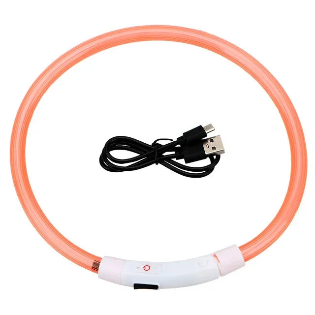 Collier Led lumineux Usb pour chien, chat 3 Modes lumière LED