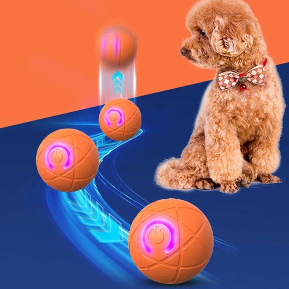 Balle interactive LED automatique pour chien