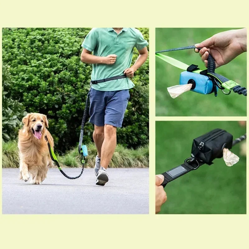 Distributeur portatif de sac de crotte de chien, tissu Oxford imperméable,