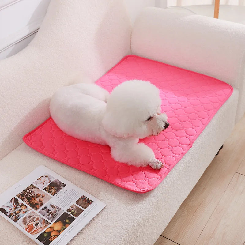 Tapie absorbant, lavable réutilisable pour chien