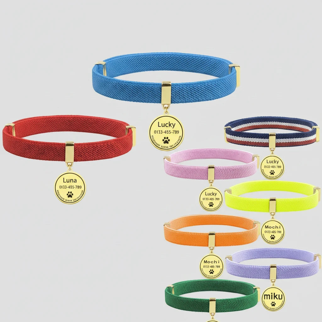 Collier de chat personnalisé mignon, étiquette ronde en métal