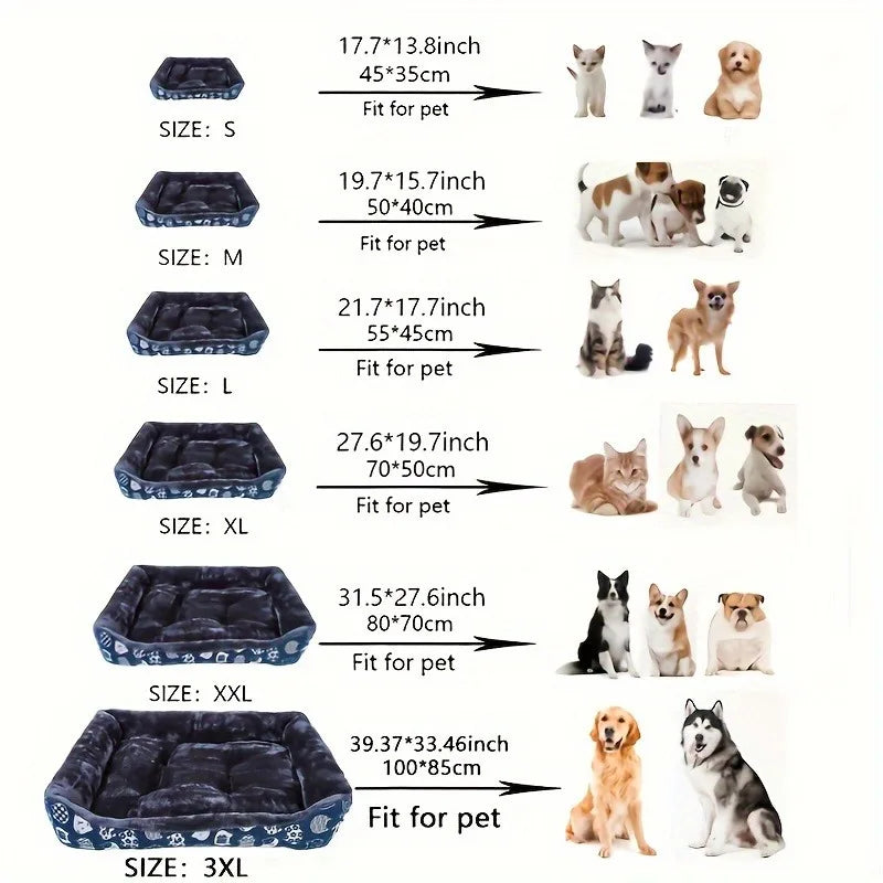 Lit pour chien, canapé, tapis