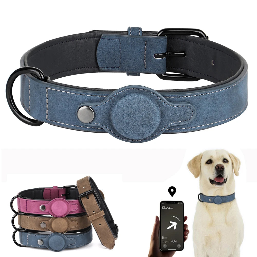 Collier pour chien en cuir de haute qualité, étiquette Anti-perte