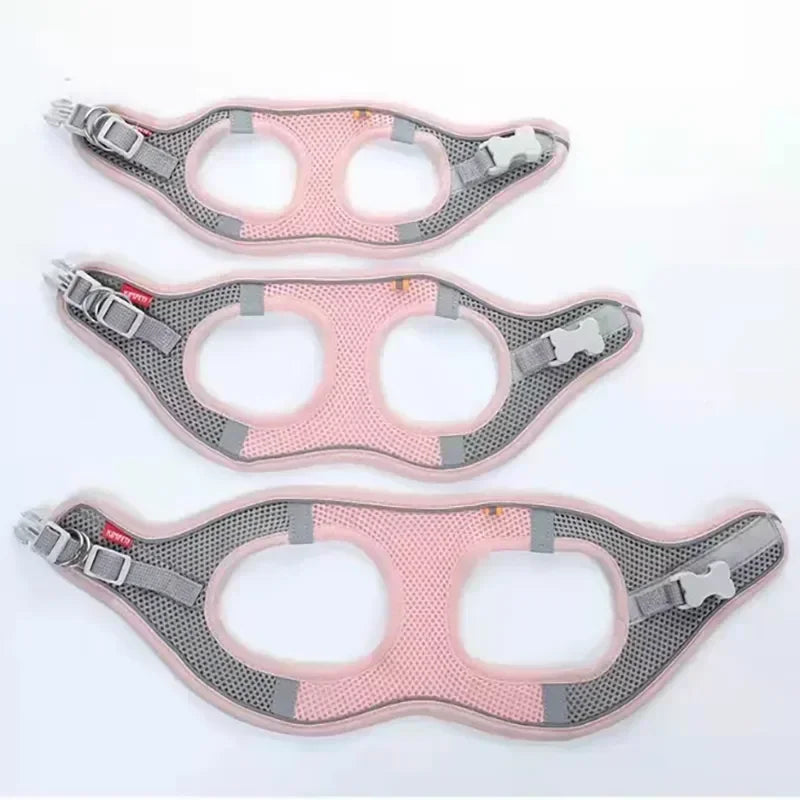 Collier pour petits chiens,