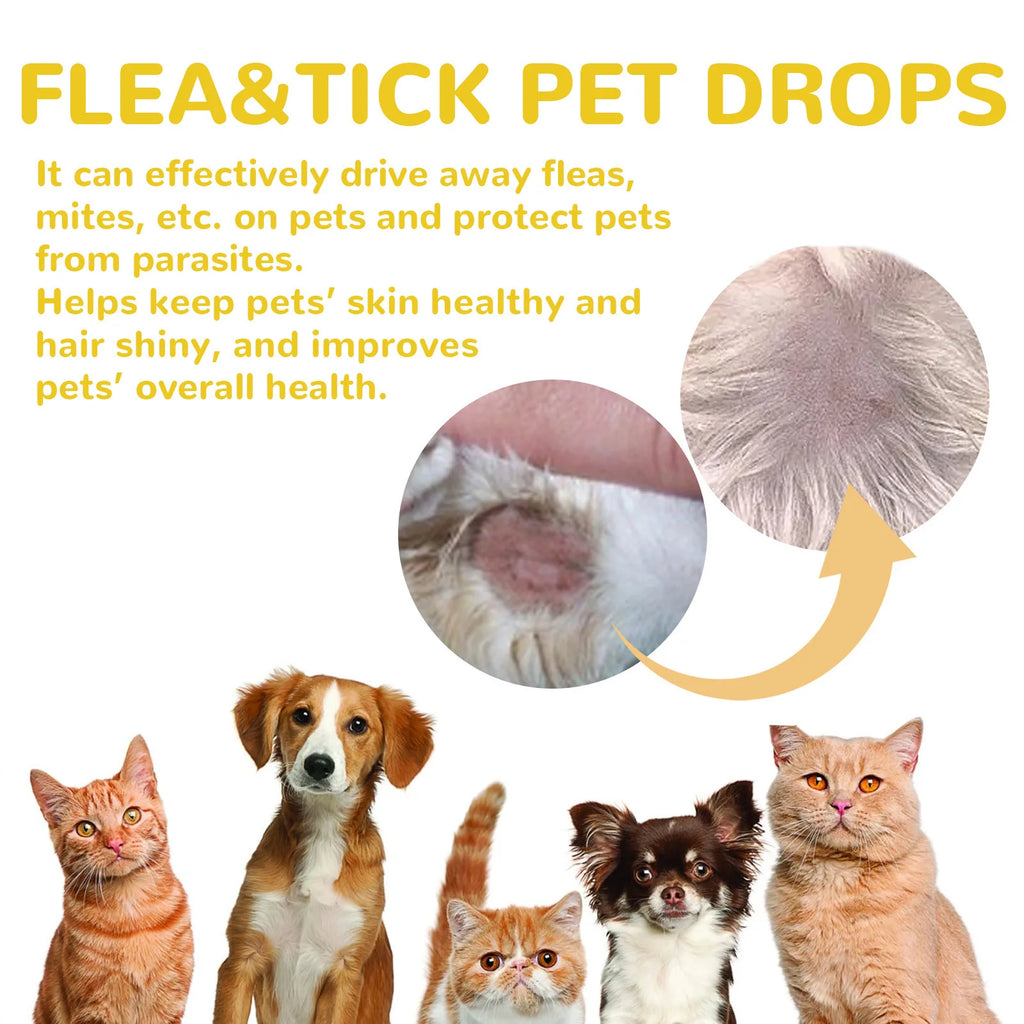 Pipettes anti-puces pour chat — Action rapide contre puces, poux et démangeaisons