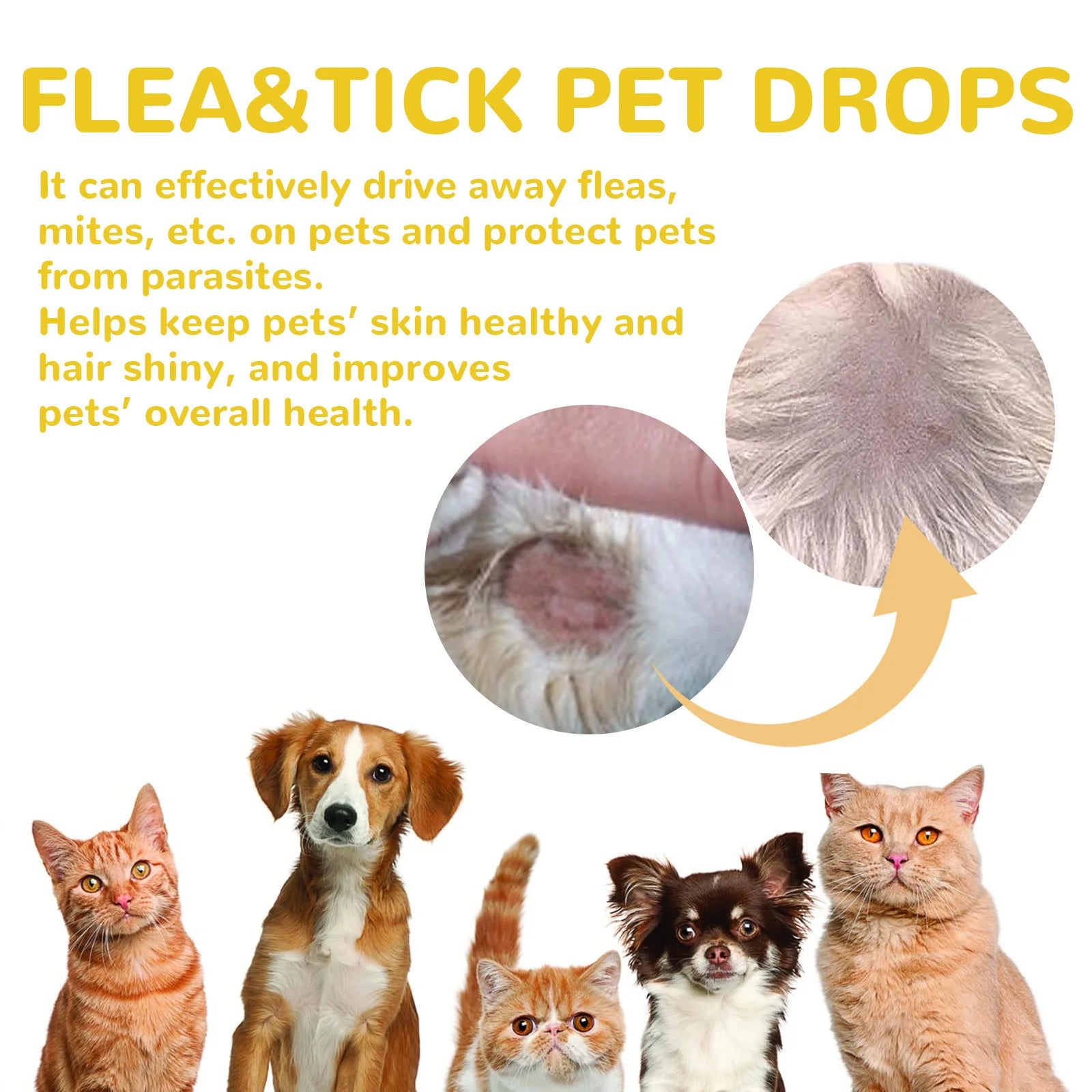 Pipettes anti-puces pour chat — Action rapide contre puces, poux et démangeaisons