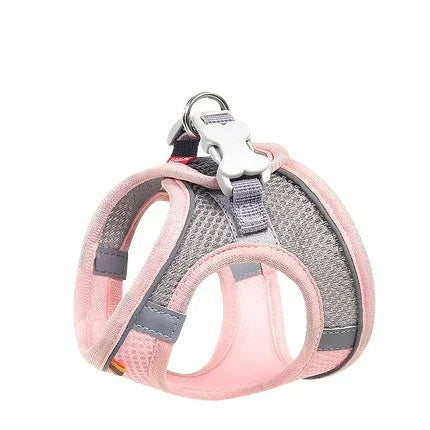 Collier pour petits chiens,