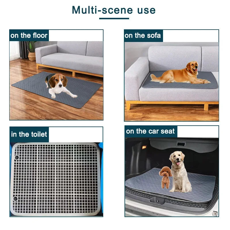 Tapie absorbant, lavable réutilisable pour chien