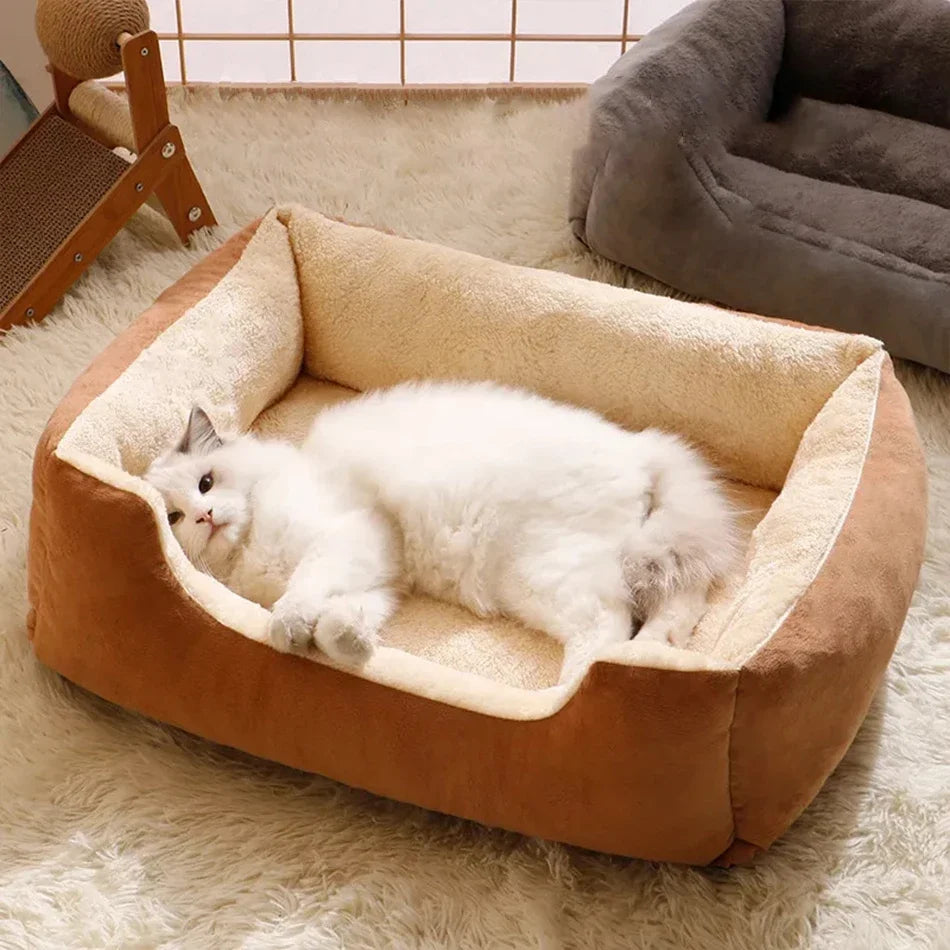 Lit, coussins  pour animaux de compagnie