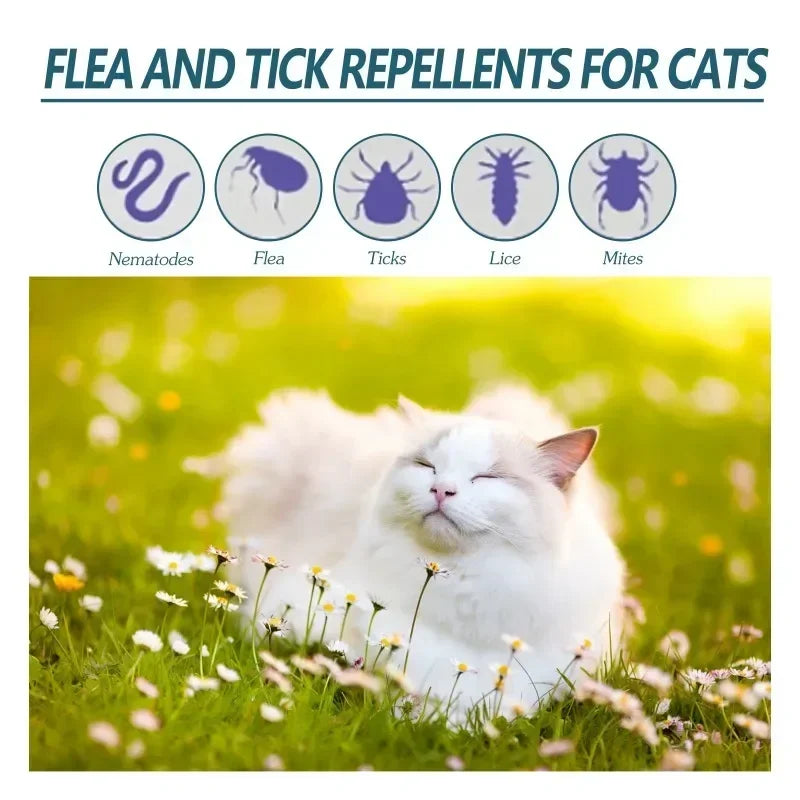Solution antiparasitaire externe 50ml pour chien et chat — Anti-puces, tiques et poux