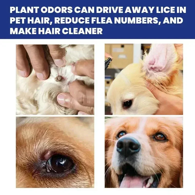 Spray anti-puces et anti-tiques pour chien et chat — Soulage les démangeaisons