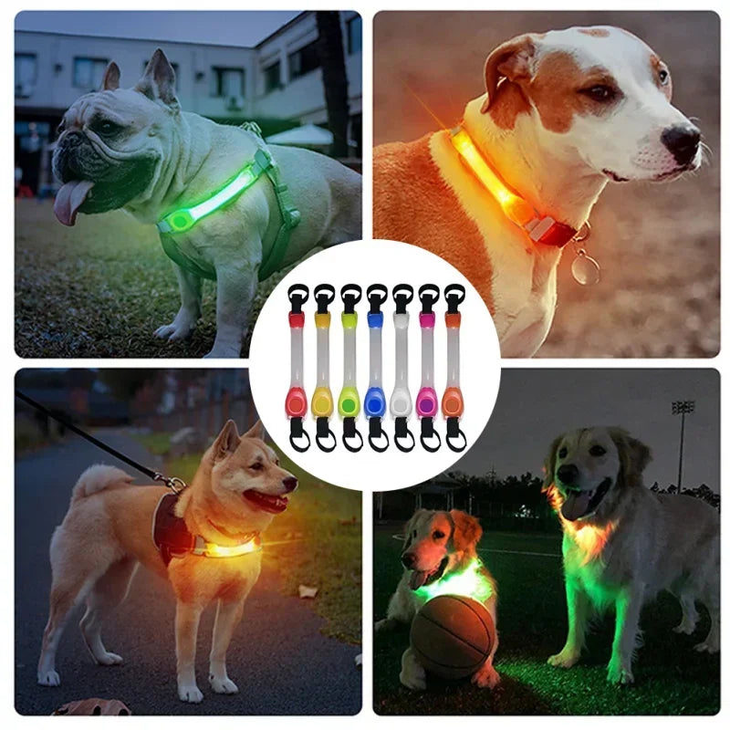 Collier lumineux de sécurité  pour chien