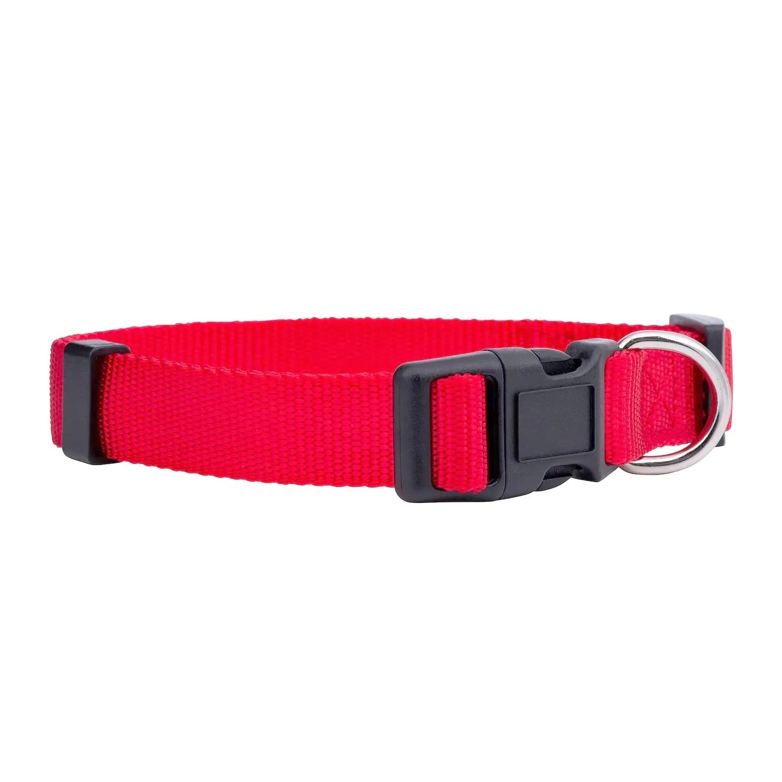 Collier pour chien en nylon de base durable