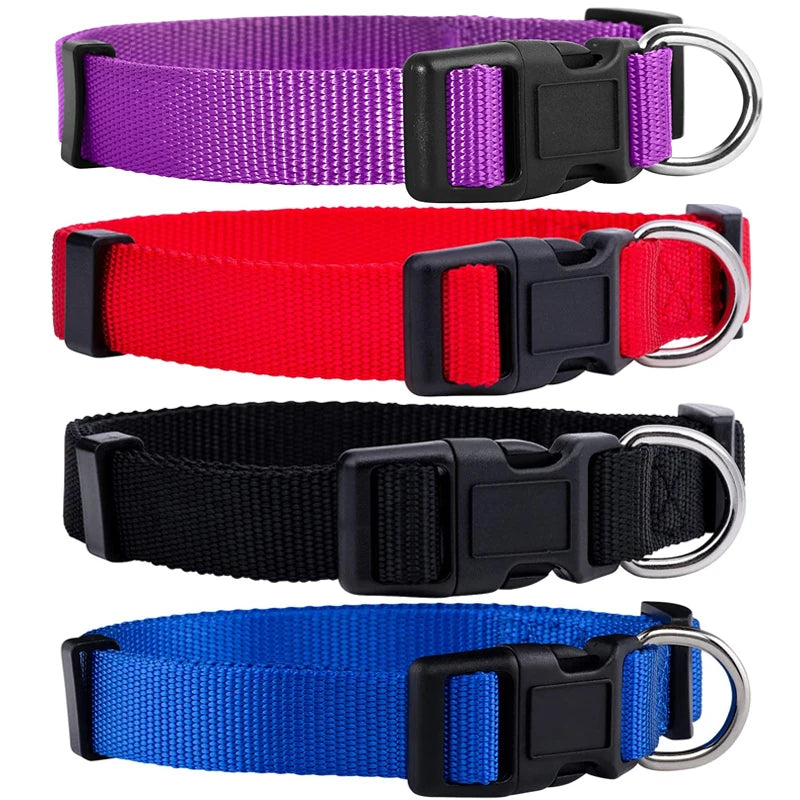 Collier pour chien en nylon de base durable