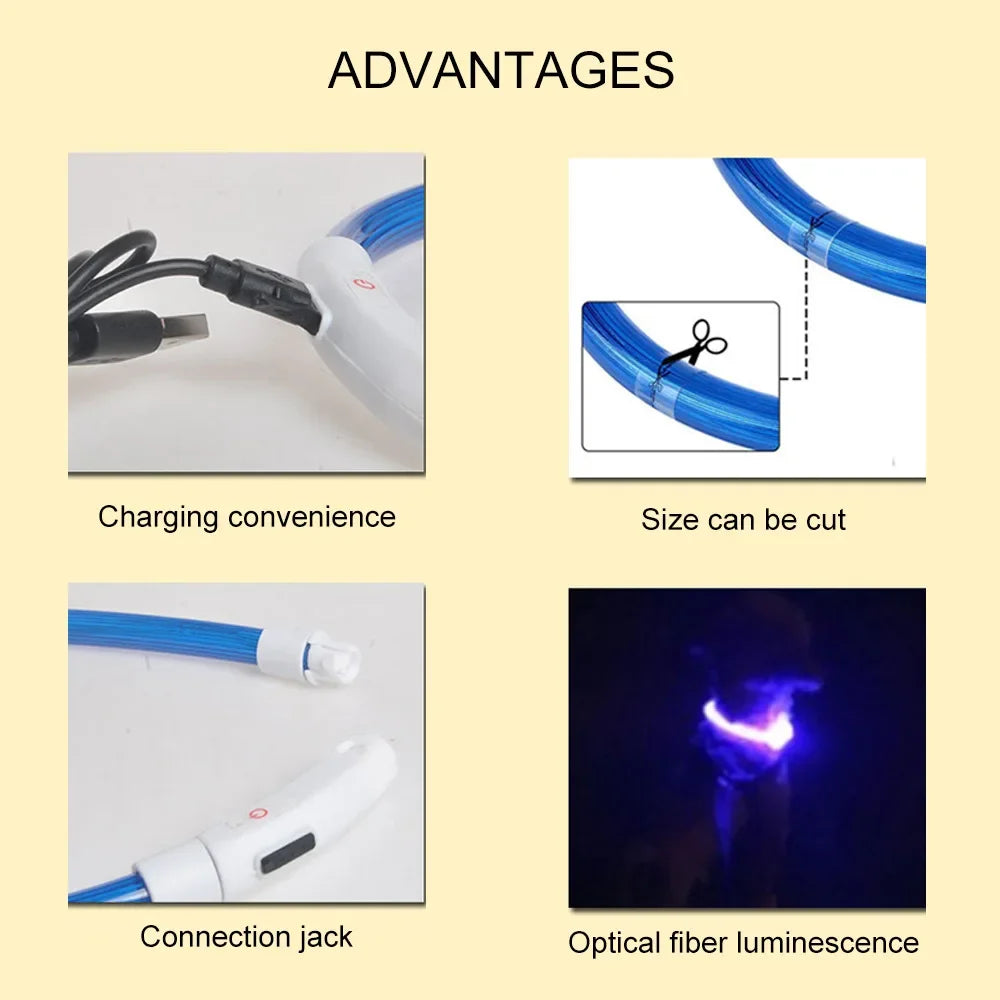 Collier Led lumineux Usb pour chien, chat 3 Modes lumière LED