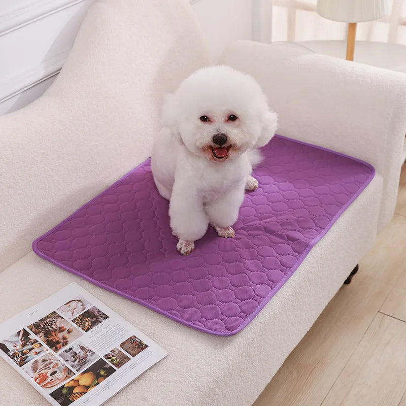 Tapie absorbant, lavable réutilisable pour chien