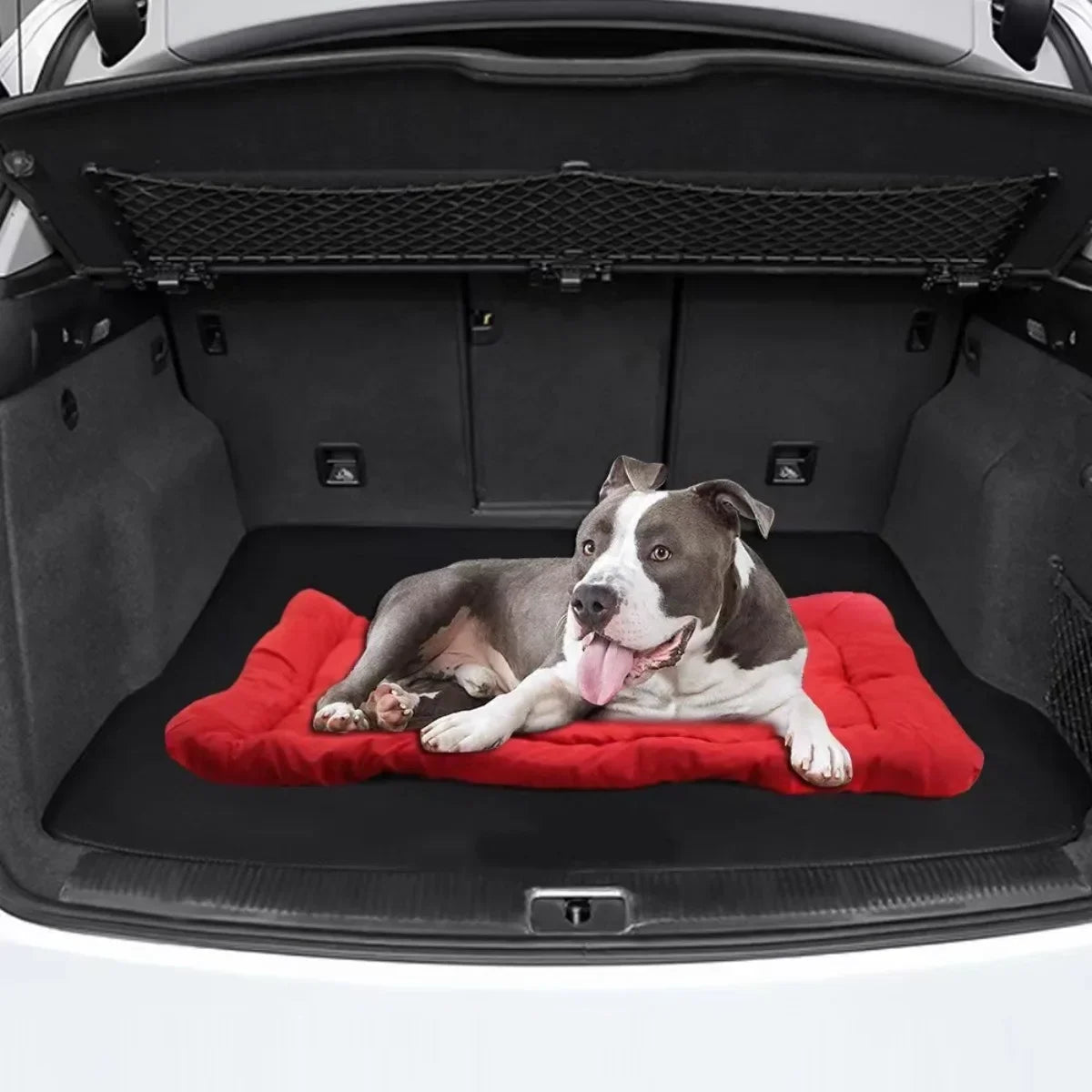 Tapis Pliable et Imperméable pour Animaux de Compagnie