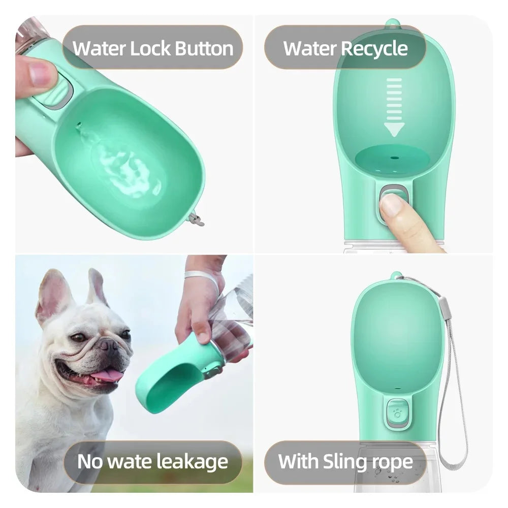 Bouteille d'eau pour chien, pour petits et grands chiens