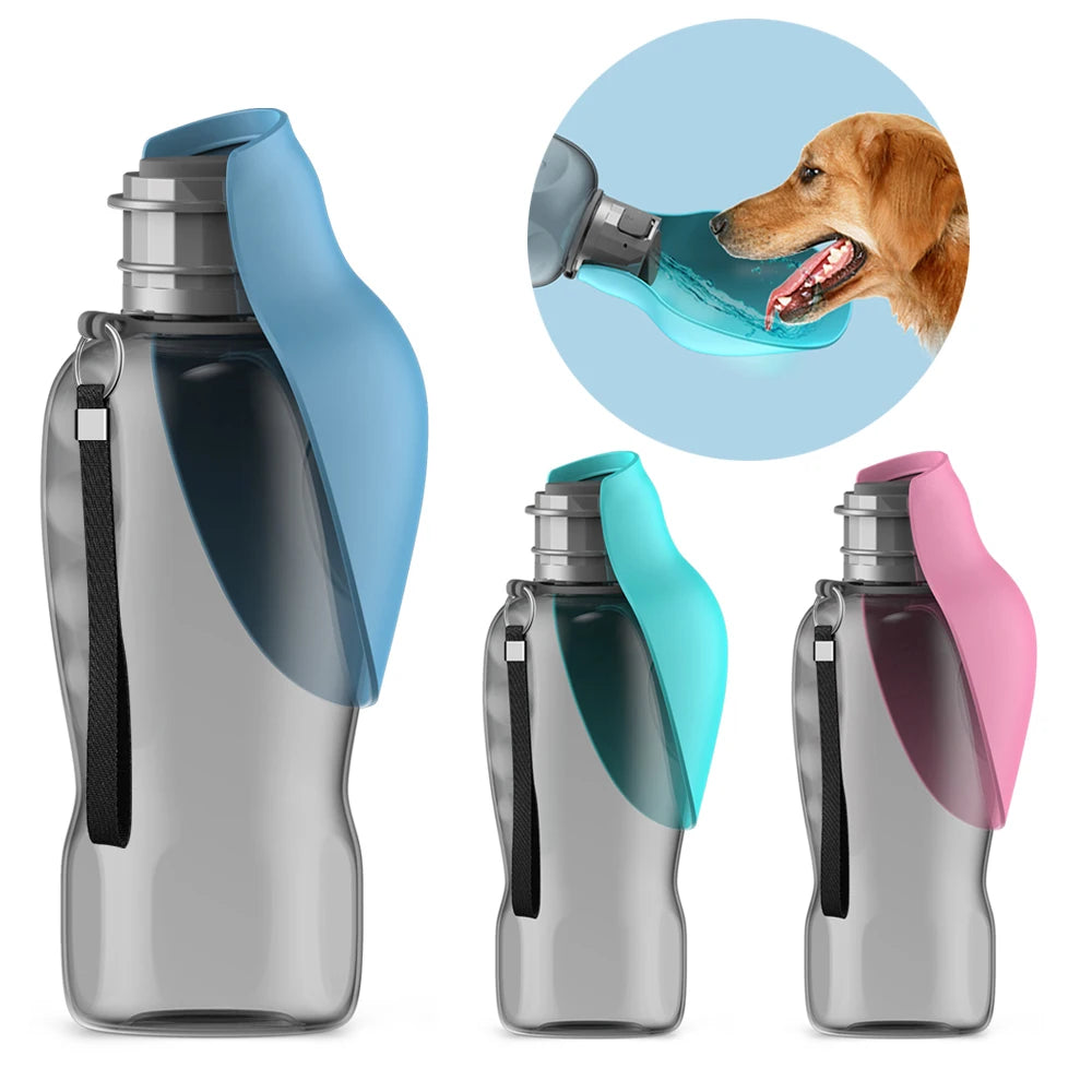 Bouteille d'eau portable 800ml pour chien