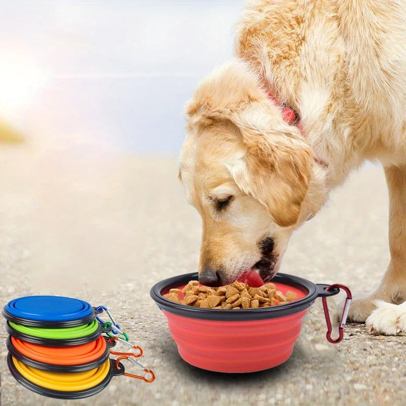 Bol pliant pour chien & CHAT
