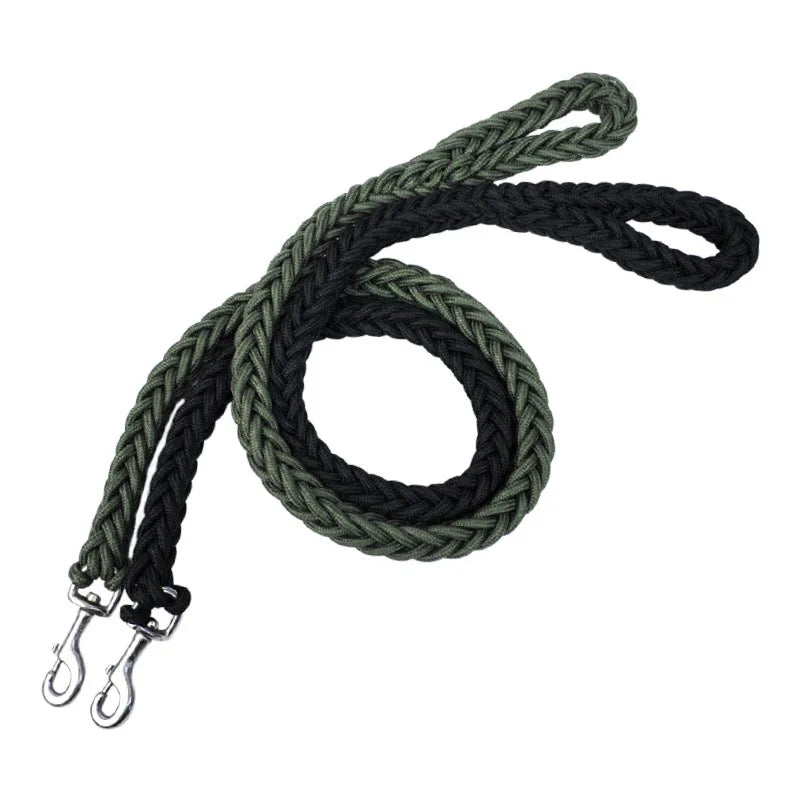 Laisse pour chien pour une  marche confortable, tresse solide