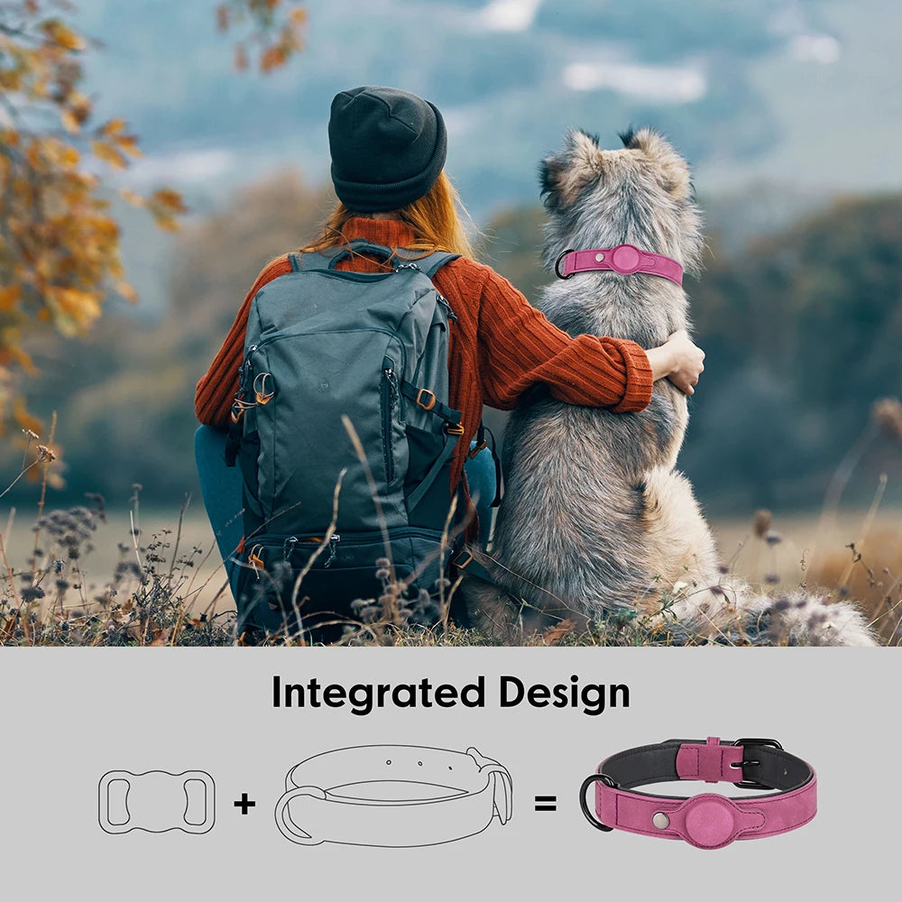 Collier pour chien en cuir de haute qualité, étiquette Anti-perte