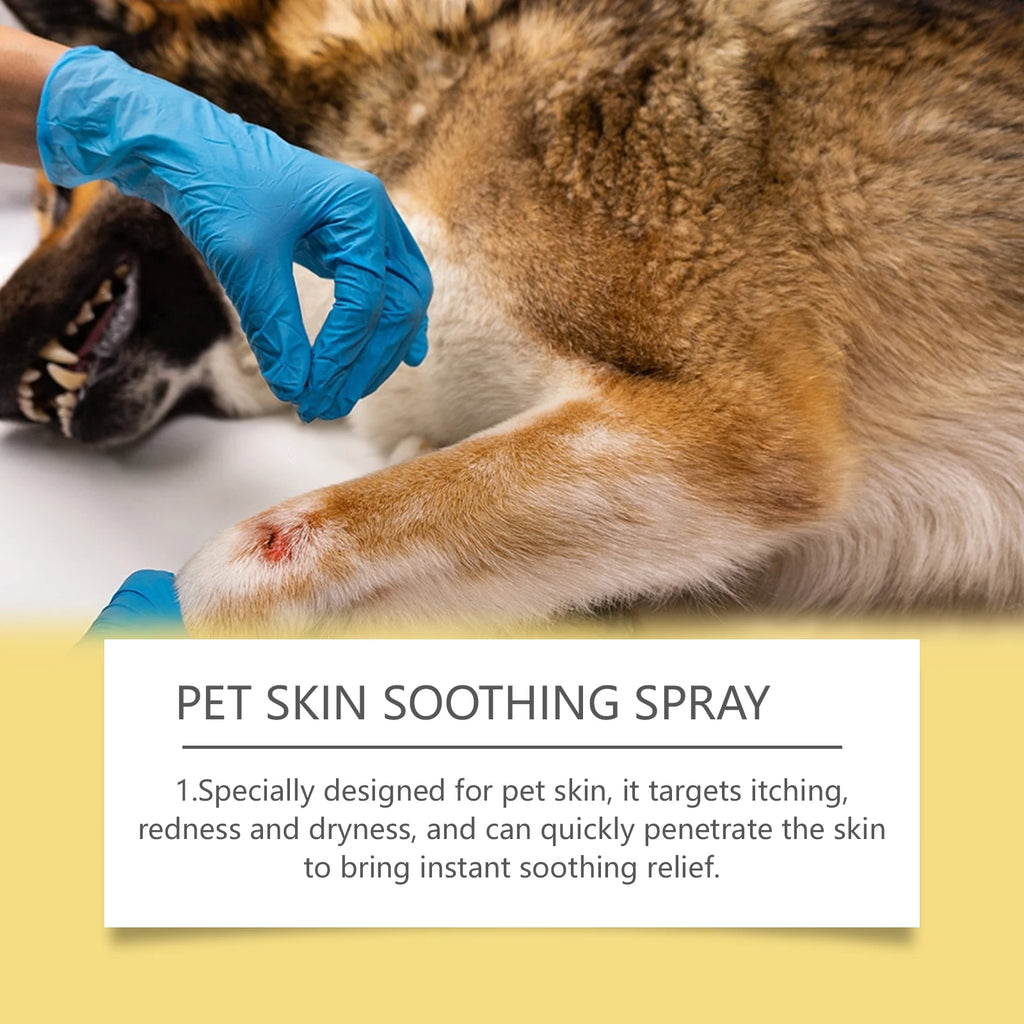 Spray soin cutané pour chien et chat — Anti-puces, cicatrisant et anti-démangeaisons