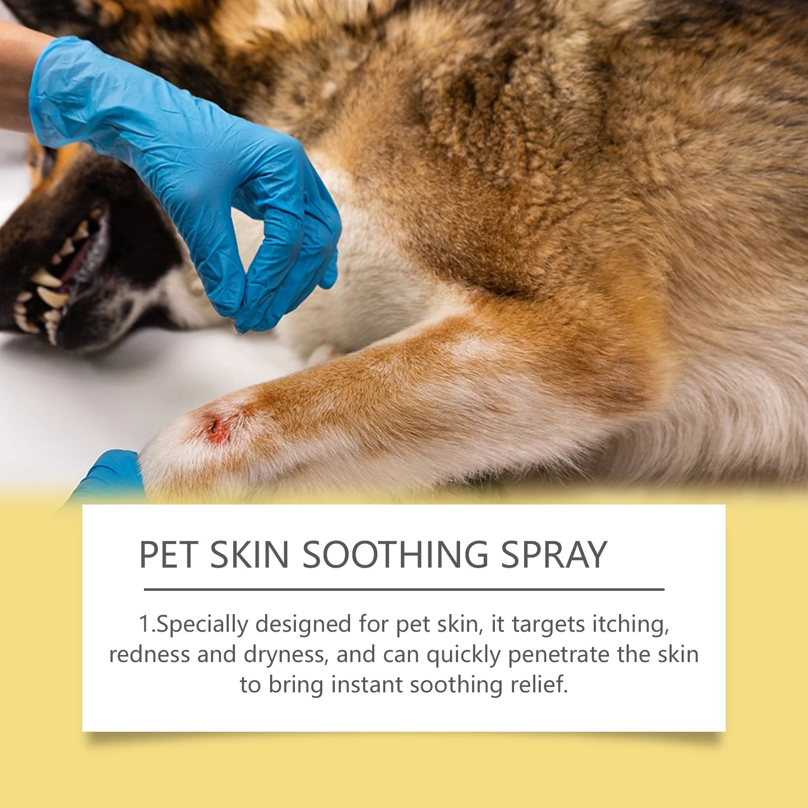 Spray soin cutané pour chien et chat — Anti-puces, cicatrisant et anti-démangeaisons