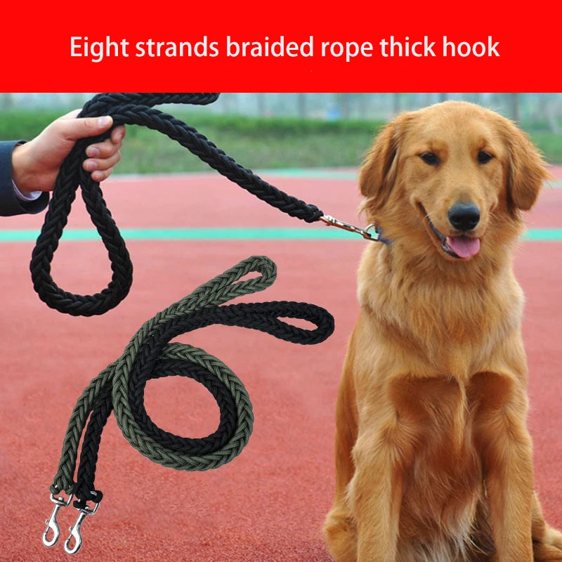 Laisse pour chien pour une  marche confortable, tresse solide