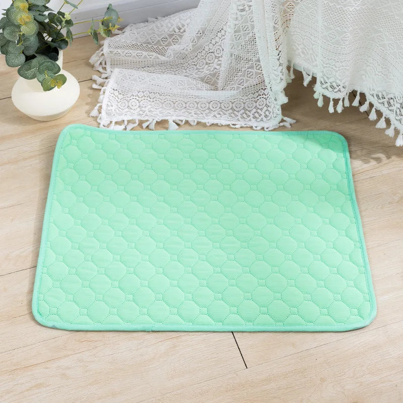 Tapie absorbant, lavable réutilisable pour chien