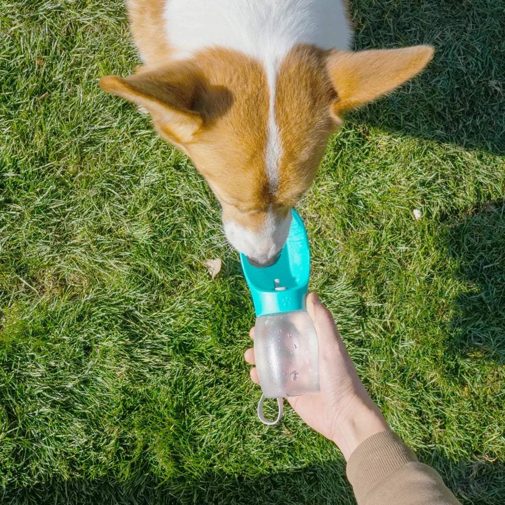 Bouteille d'eau pour chien de compagnie, 300ML