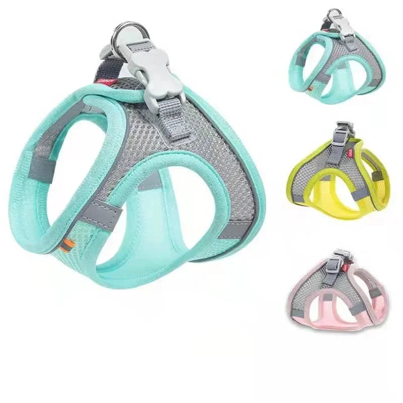 Collier harnais respirant réglable pour petit chien